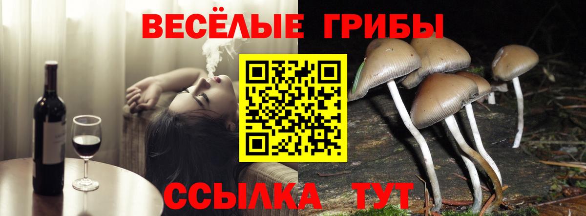 продажа наркотиков  Галлюциногенные грибы GOLDEN TEACHER  Вход с VPN  Хабаровск  Галлюциногенные грибы Psilocybe 